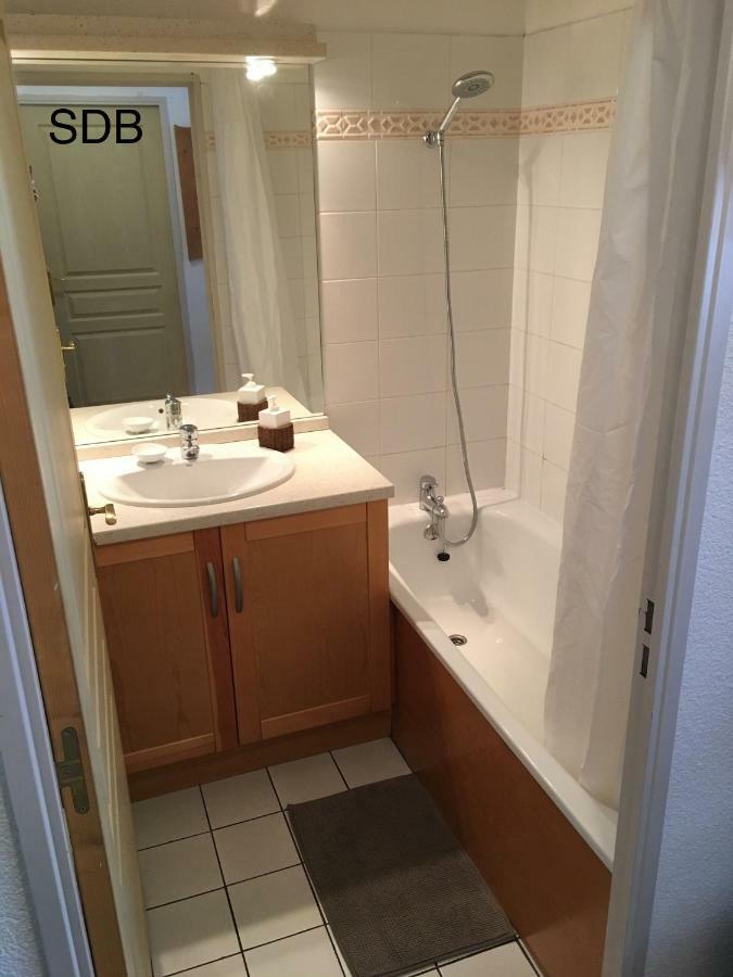 Appartement Les Pics D'Aran Bagnères-de-Luchon 外观 照片